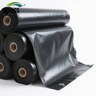 High Quality Modern Design HDPE Outdoor Pond Tilapia Fish Tanks High Grade Plastic Liner with Geomembrane Molding