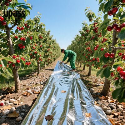 ฟิล์มคลุมดินอะลูมิเนียมฟอยล์ไมลาร์เคลือบ PET สะท้อนแสงอาทิตย์สำหรับโครงการพลังงานแสงอาทิตย์สำหรับการเป่าขึ้นรูป