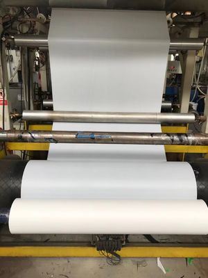 UV Curing Type CPP Silicone Coated Release Liner สำหรับผลิตภัณฑ์กาวตนเอง